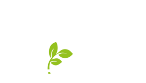 4Forests