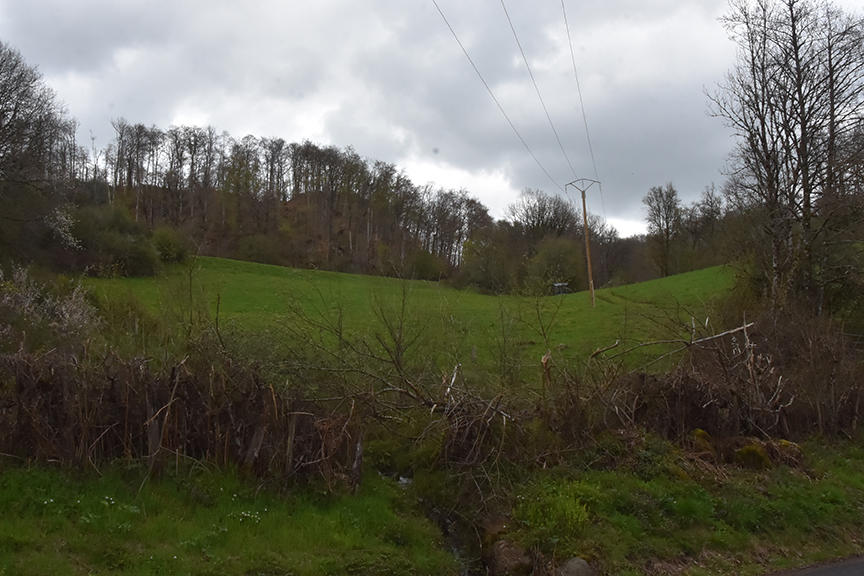 Terrain Trizac avant plantation vu 3 avril 2023 par 4 forests