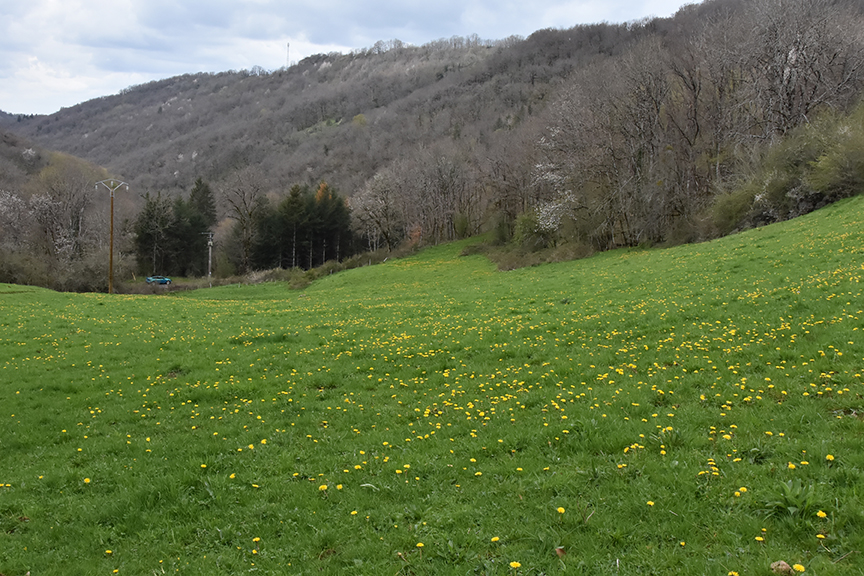 Terrain Trizac avant plantation vu 2 avril 2023 par 4 forests