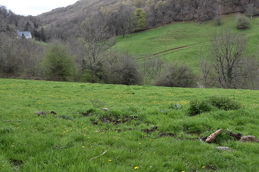 Terrain Trizac avant plantation avril 2023 par 4 forests