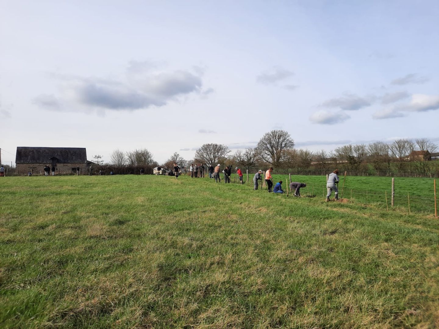 Plantation haie BOUESSAY réaliser par 4 FORESTS - contribution carbone