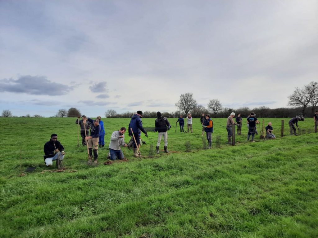 Agriculteur plantant une haie bocagère
