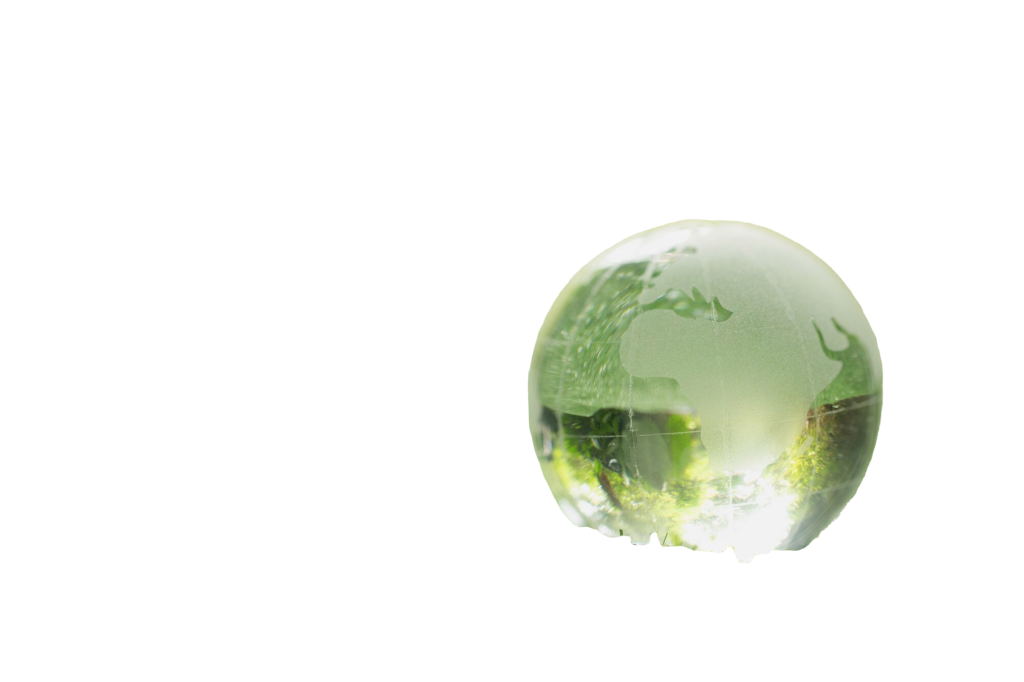 Les Freins à la Contribution Carbone Volontaire